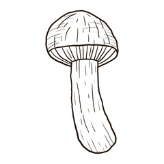 Vector isolated illustration of forest mushroom. Outline black and white doodle sticker.