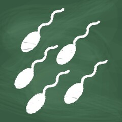 Sperm cell Line Icon design, white chalk. Draw a picture on the blackboard.