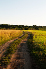 natural landscape the setting sun illuminates the field and forest
