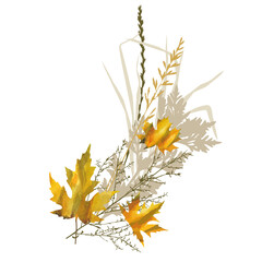 Bouquet with autumn yellow maple leaves