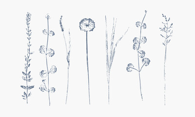 set of monochrome hand printed wild grasses