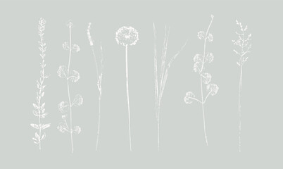 set of monochrome hand printed wild grasses