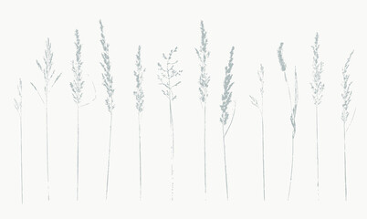 set of monochrome hand printed wild grasses
