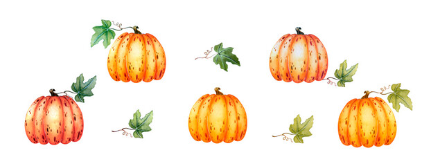 Orange pumpkins with leaves. Watercolor botanical illustration isolated on white background for Thanksgiving, Halloween, Autumn Festival, Harvest.