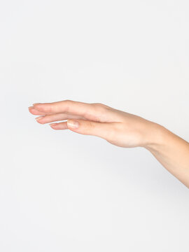 Female hand on empty white background