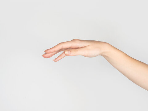 Female hand on empty white background