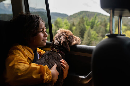 kid and his dog traveling by car
