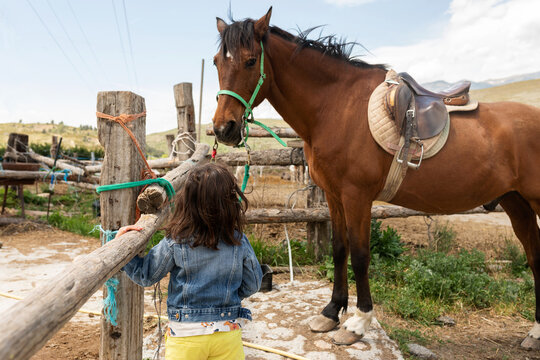 little girl looking her horse