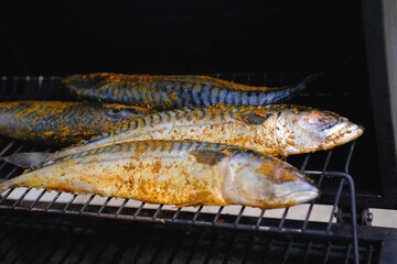closeup of smoking mackerel fish on sawdust, aromatic smoke rises appetizingly, the concept of...