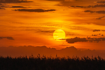 Obraz premium Sunset over a mountain with a corn field.