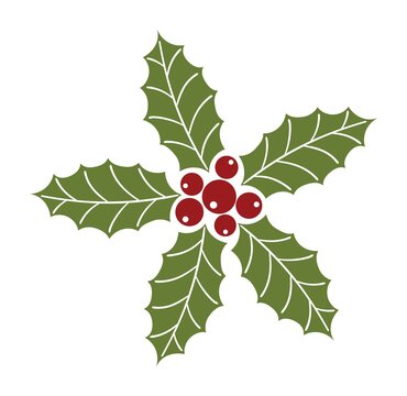 Isolated Christmas Holly Flower on White Background. Vector Holly Red Berries