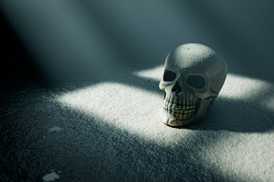 CRANEO EN LA OSCURIDAD A LA LUZ DE VENTANA