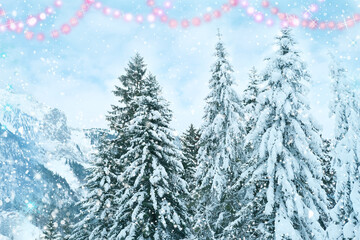 Obraz premium beautiful winter landscape, snow-covered fluffy fir trees, snowfall in the mountains, panorama of mountain peaks, the Swiss Alps in the snow, walks in the winter white forest