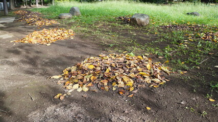 Obraz premium 道端に集められた落ち葉の束