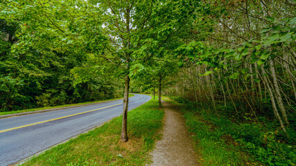 Deserted through road just after light rain at Univercity Highlands residential development on Burnaby Mountain, BC