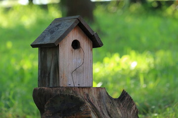 Butka lęgowa dla ptaków. Nesting box for birds.