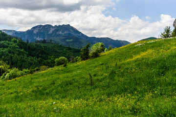 Fototapeta na wymiar Tatra mountain during summer time
