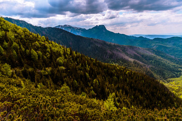 Tatra mountain during summer time