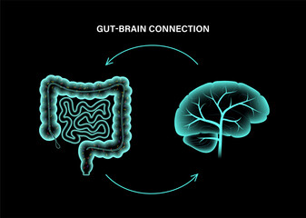 Gut Brain 3D - 455801029