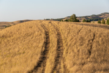Fototapeta premium The hill is high (mountain) with a road to the top.