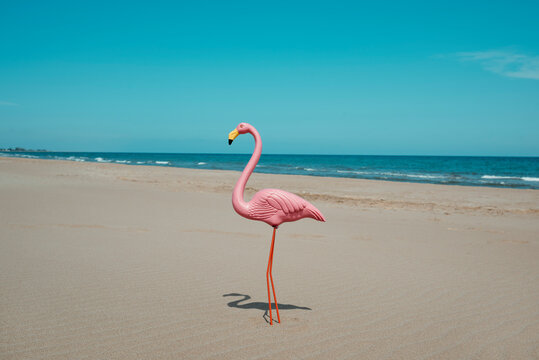 fake pink flamingo on the sand of a beach