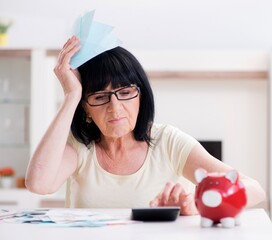Mature woman trying to reconcile her bills