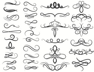 Fototapeta Calligraphy Swirl, Ink Pen Filigree flourishes. Ornate frame elements. Vintage Curl and swirly line. Vector obraz