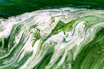 Algal bloom in water of Dnieper river in Ukraine. Green color of water caused by a rapid increase or accumulation of algae. Ecological disaster. Water pollution. Natural green abstract background