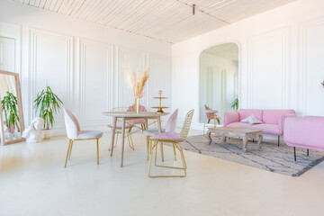 delicate and cozy light interior of the living room with modern stylish furniture of pastel pink...