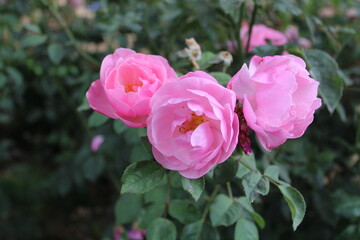 Hi I'm Heather! I'm a photographer from Oregon. I enjoy photographing nature, but also people and architecture as well. I hope you enjoy my work!