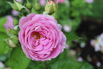 Hi I'm Heather! I'm a photographer from Oregon. I enjoy photographing nature, but also people and architecture as well. I hope you enjoy my work!