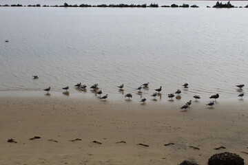 Hi I'm Heather! I'm a photographer from Oregon. I enjoy photographing nature, but also people and architecture as well. I hope you enjoy my work!