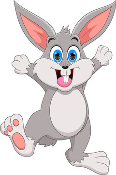 happy rabbit cartoon isolated on white background
