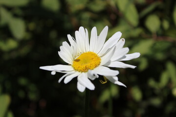 Obraz premium Hi I'm Heather! I'm a photographer from Oregon. I enjoy photographing nature, but also people and architecture as well. I hope you enjoy my work!