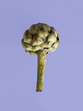 Colorful still life with a floating artichoke