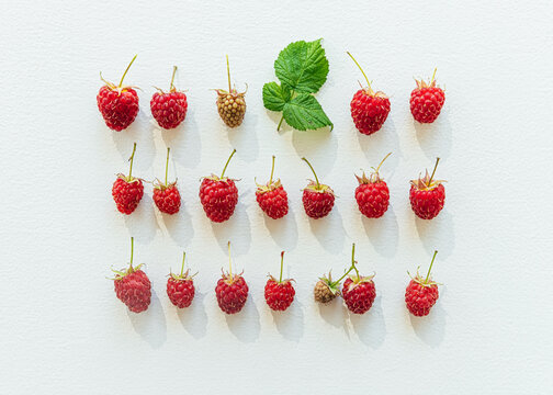 Organized still life of fresh raspberries
