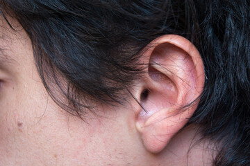 Detail of a human ear and earlobe with blackhair and white skin.