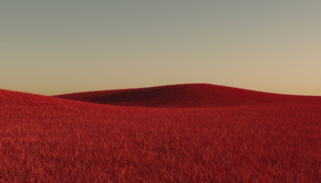 Red Grass Meadow