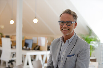 Portrait of businessman smiling in office