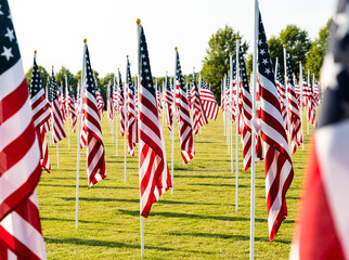 American Flags in field