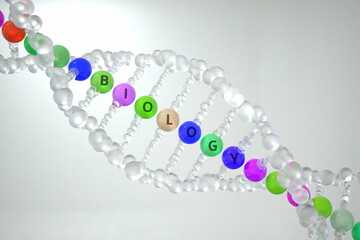 DNA molecule with BIOLOGY text. 3D rendering