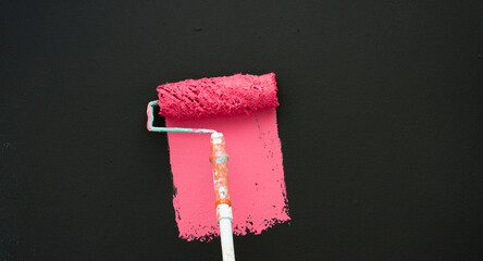  paint roller with paint
