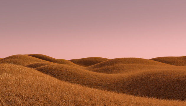 Fototapeta Orange grass meadow