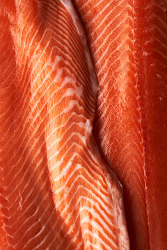 Red flesh of raw fish