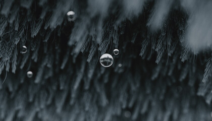Close up of water sphere