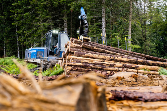 Un Engin forestier avec sa griffe &agrave; bois