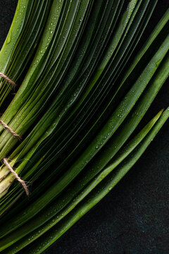 Bunches of Fresh Pandan Leaves