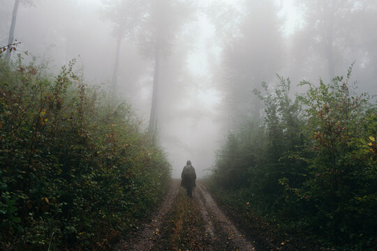 Mysterious silhouette on forest path - Powered by Adobe
