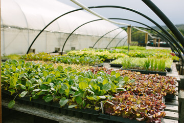 photo by Cara Brostrom