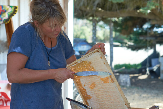 Beekeeper removing beeswax